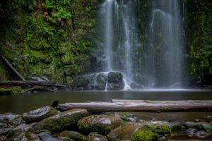 fallen tree in front of waterfall