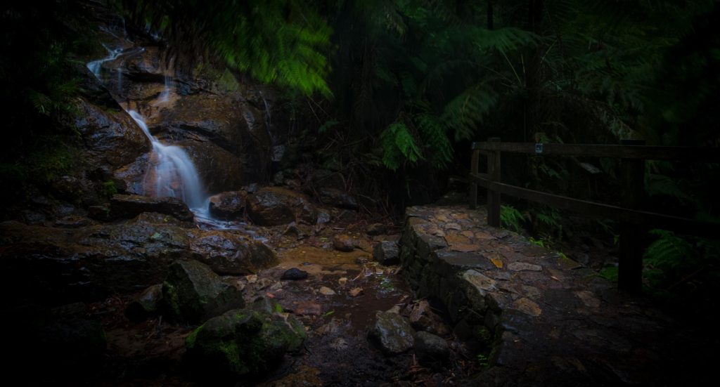 stone walkway and waterfall